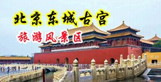 日本操逼视频中国北京-东城古宫旅游风景区